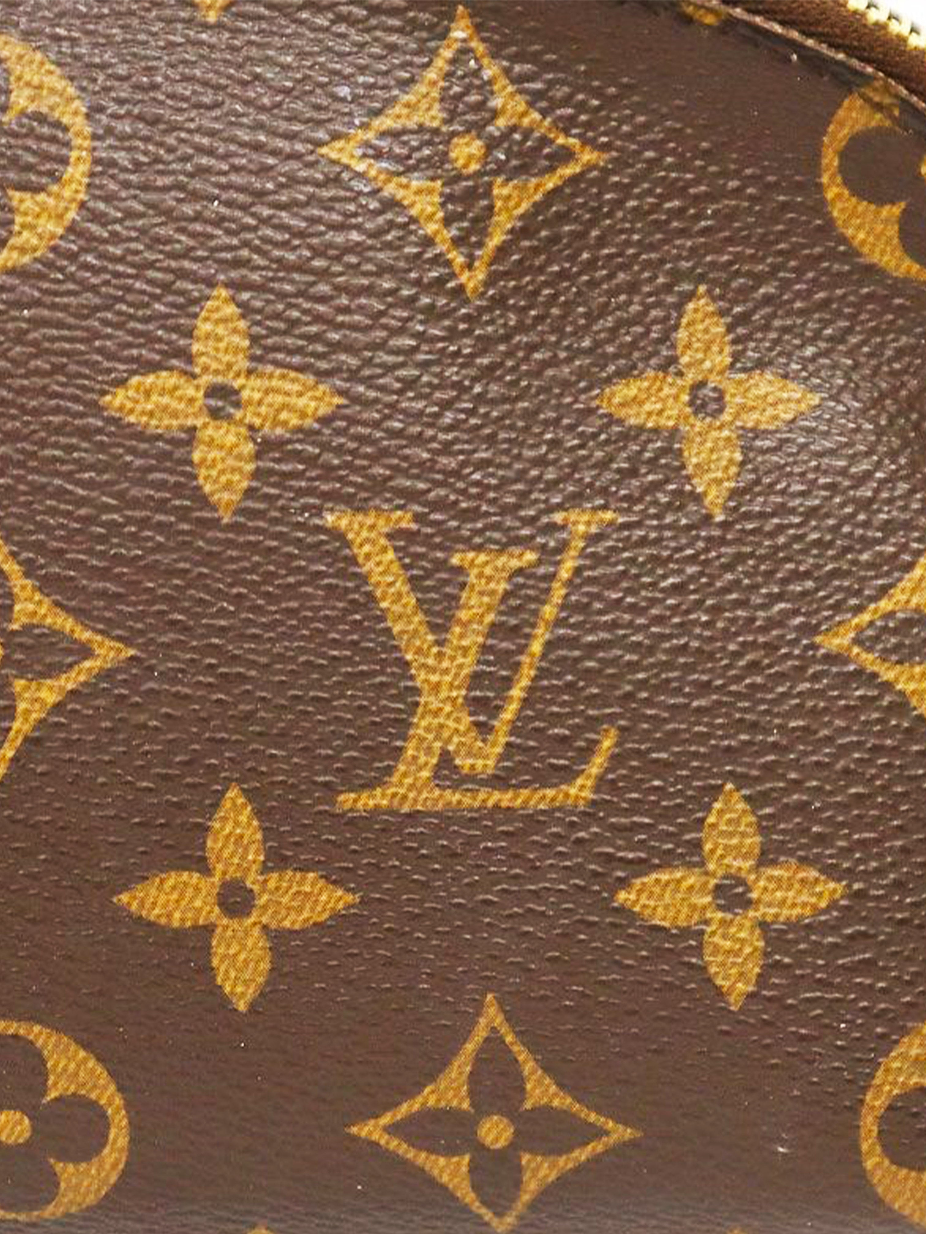 Louis+Vuitton+Cosmetic+Pouch+Brown+Canvas+Monogram for sale online