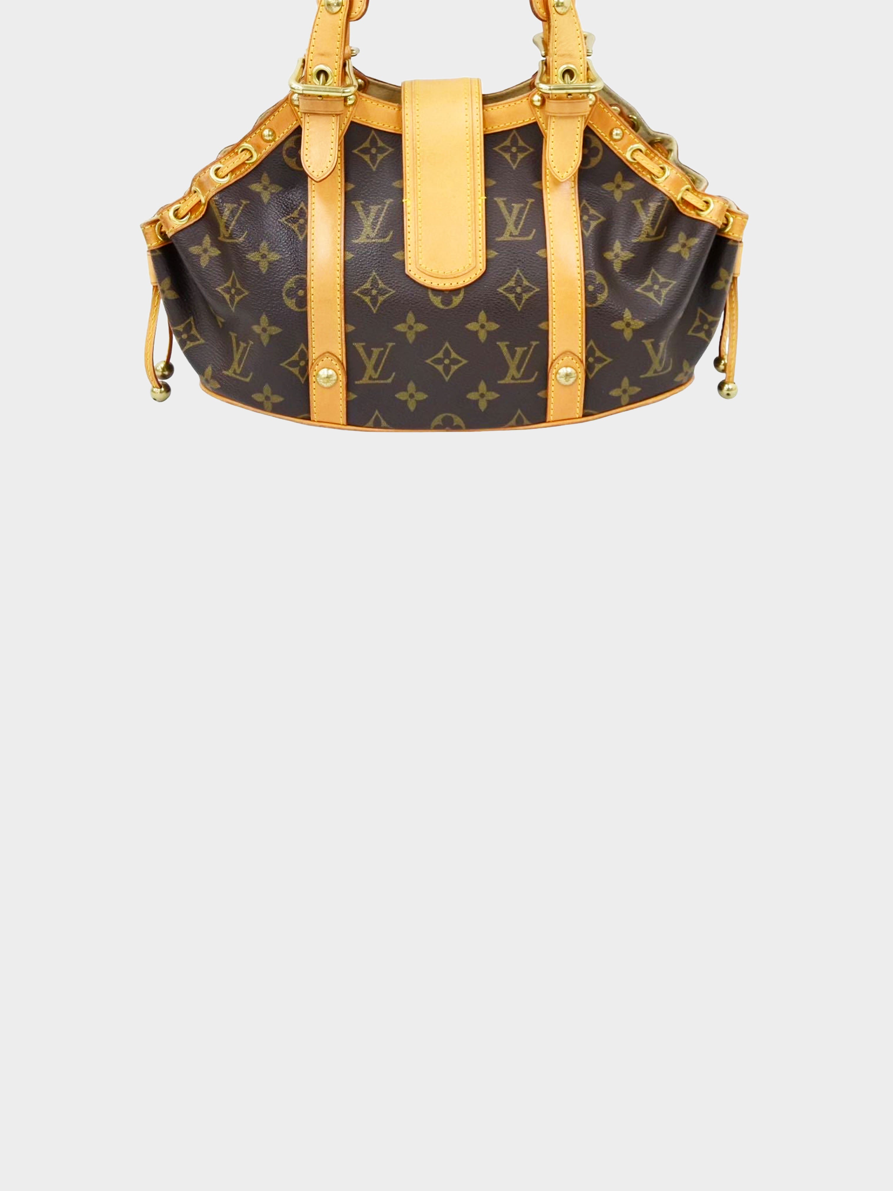 Louis Vuitton Monogram Theda PM