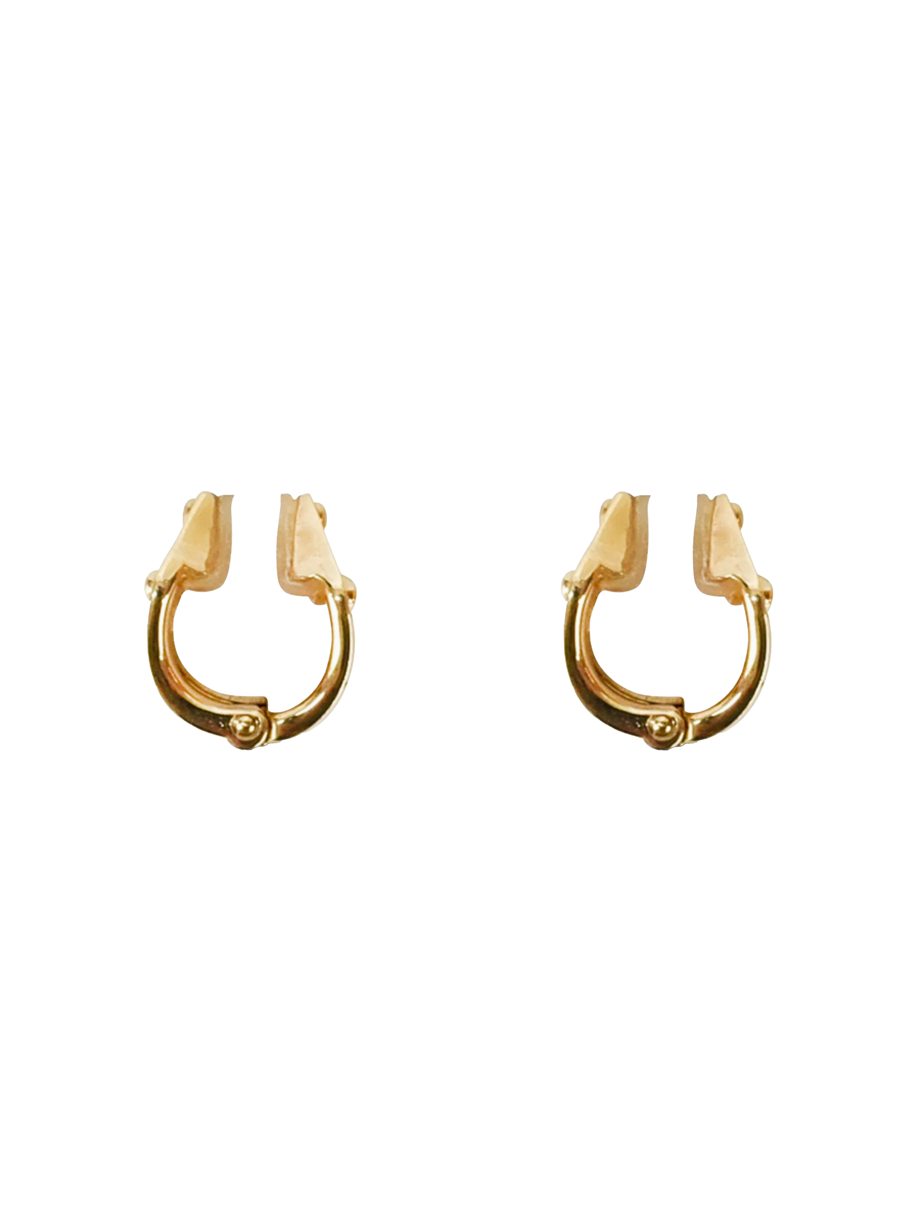 Louis Vuitton Nanogram Hoop Earrings