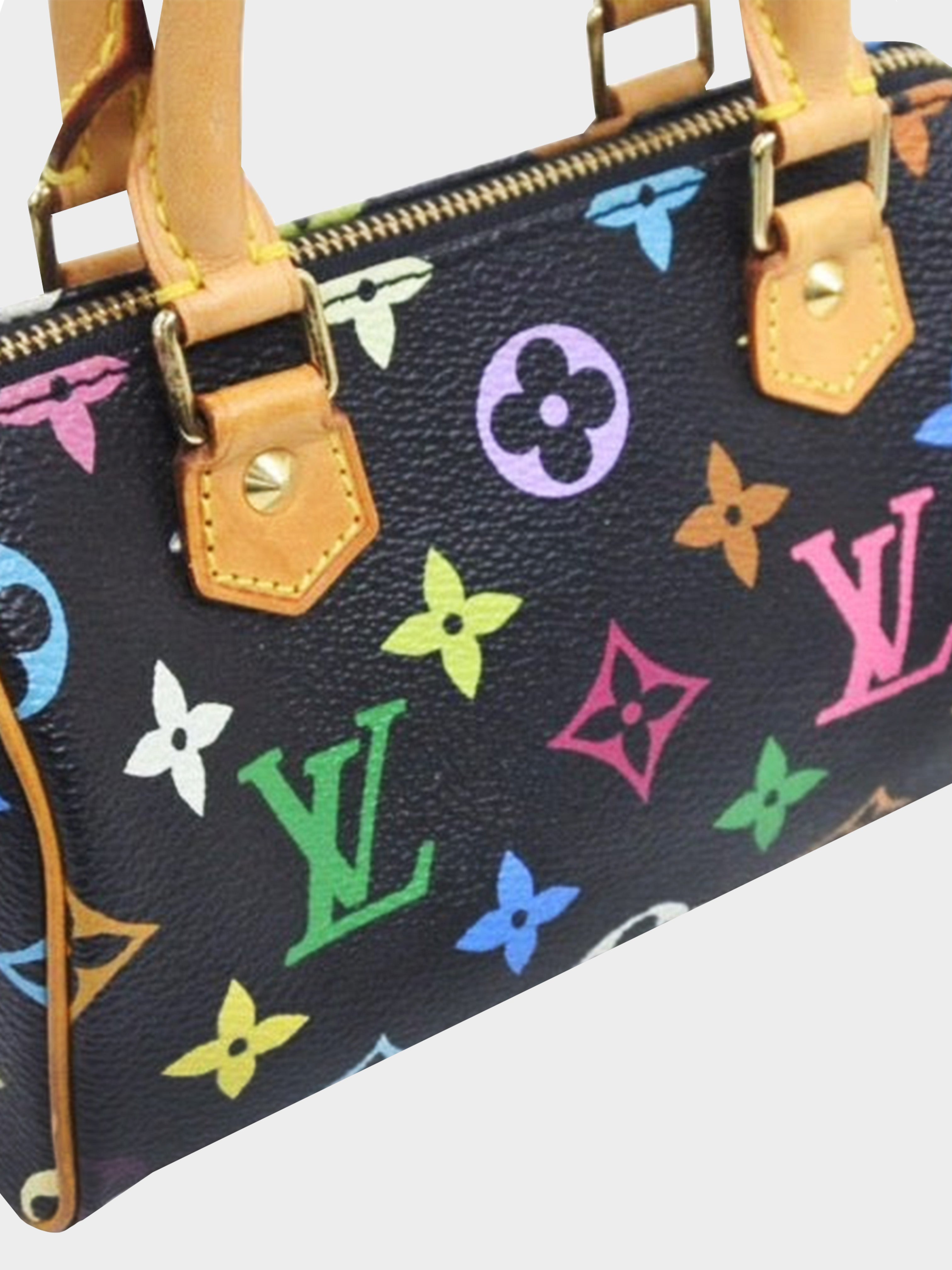 LOUIS VUITTON x Takashi Murakami Multicolor Speedy 30 Tote 2007 – COCOON