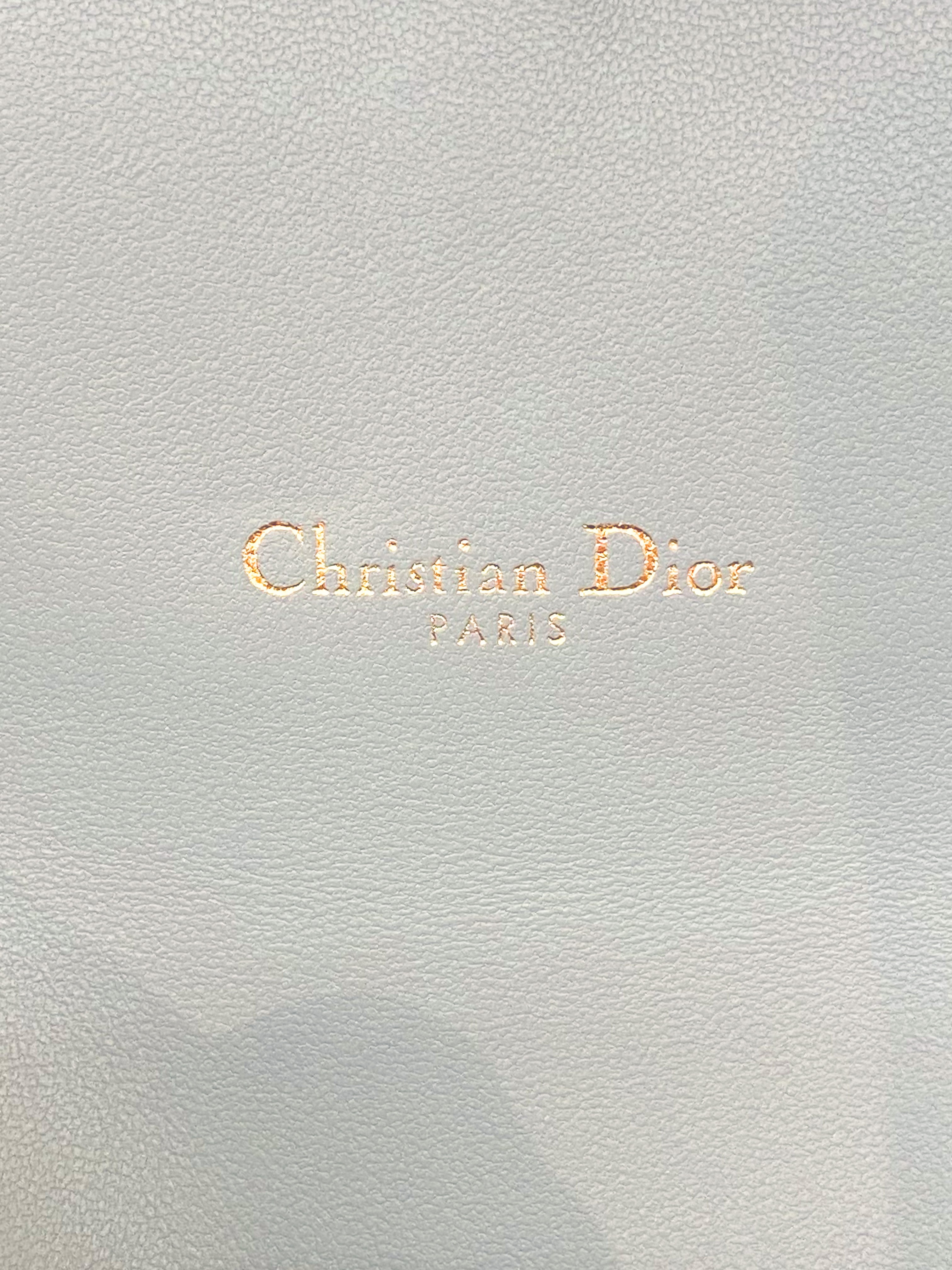 CHRISTIAN DIOR Metallic Grained Calfskin Saddle Chain Wallet Pouch 1206764