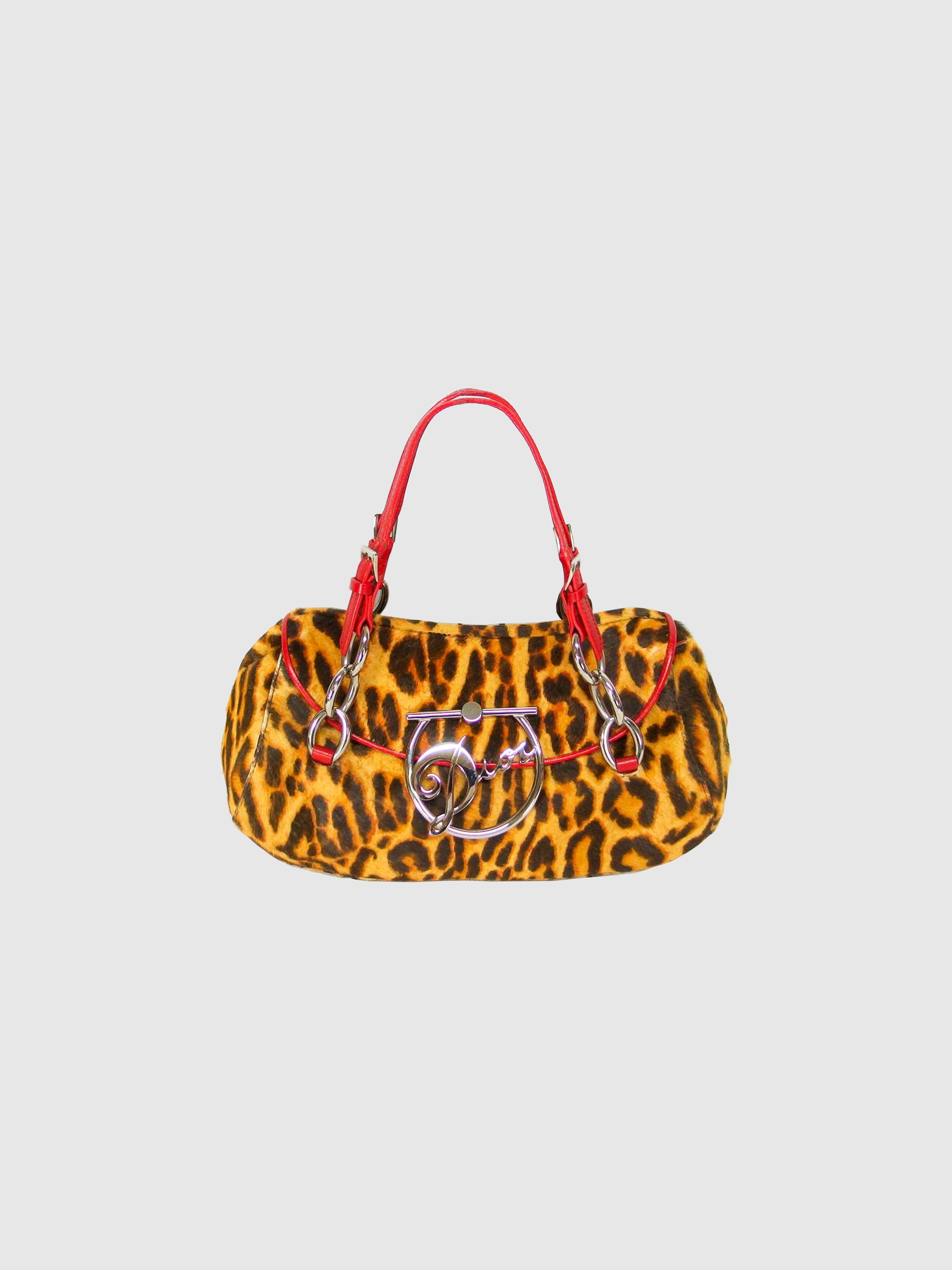 Christian Dior 2010 Leopard Print Large Logo Shoulder bag