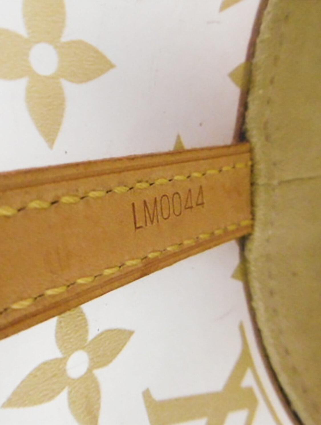 Louis Vuitton 2000s Hippo Vinyl Rare Monogram Tote · INTO