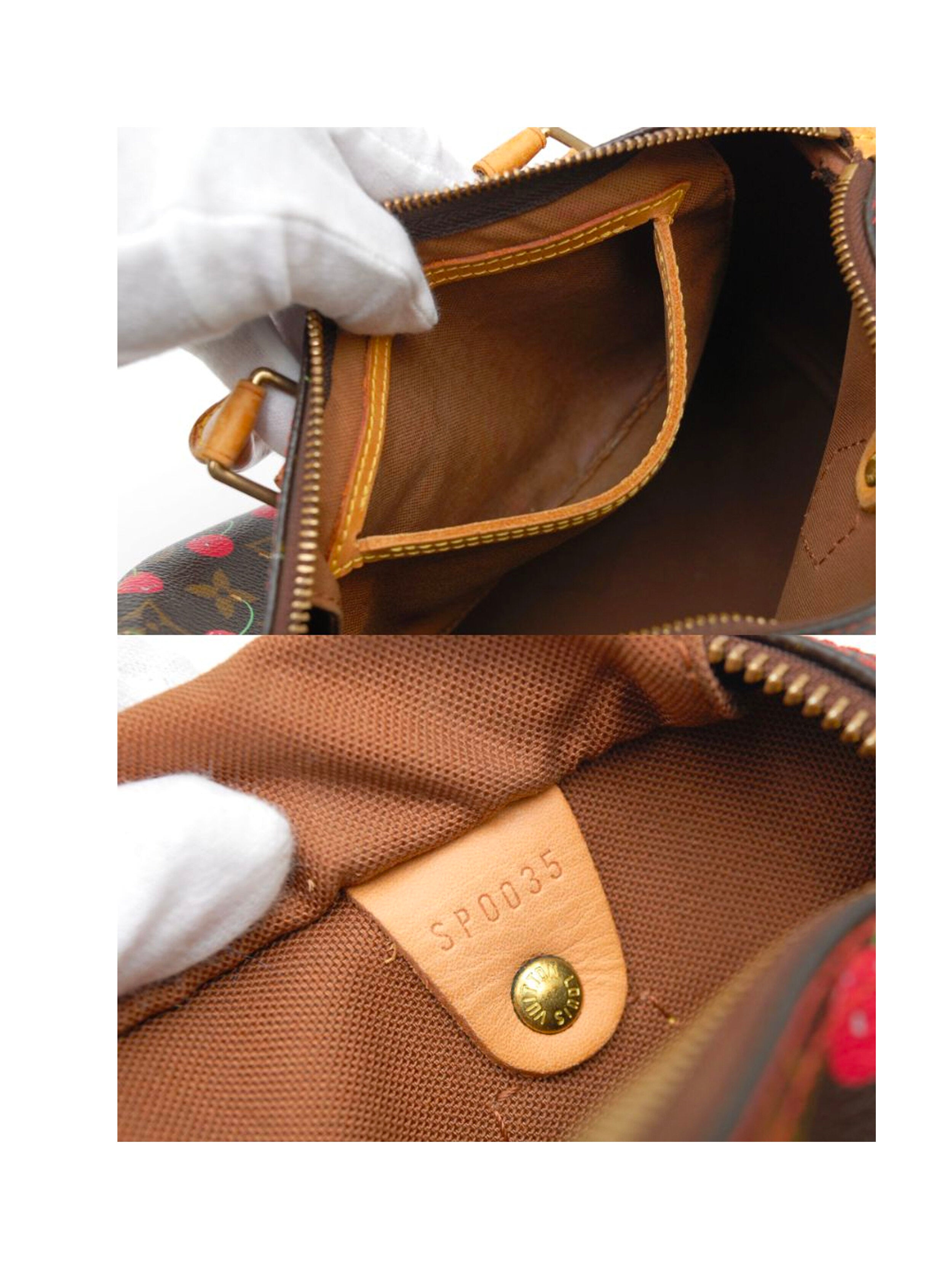 Louis Vuitton 2005 Takashi Murakami Cherry Shoulder Bag · INTO