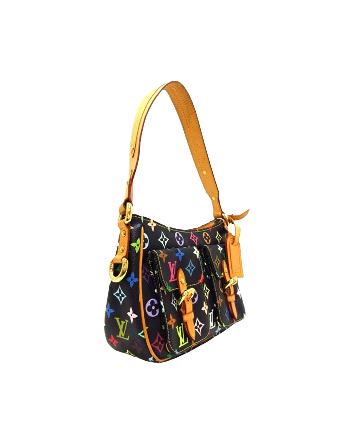 Louis Vuitton Multicolor Lodge Shoulder Bag