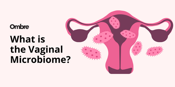 what is the vaginal microbiome?