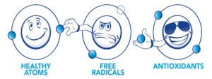 free radicals 