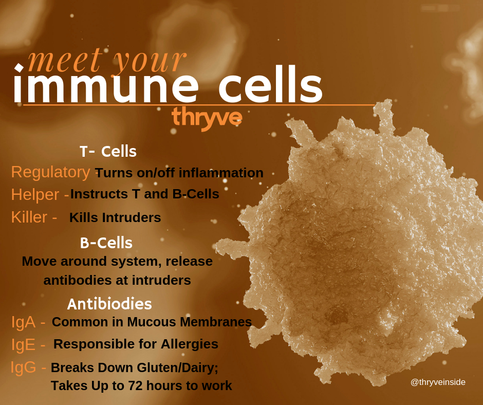 adaptive immune system