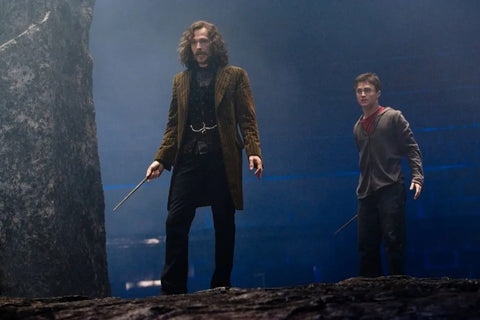 Sirius Black at Hogwarts