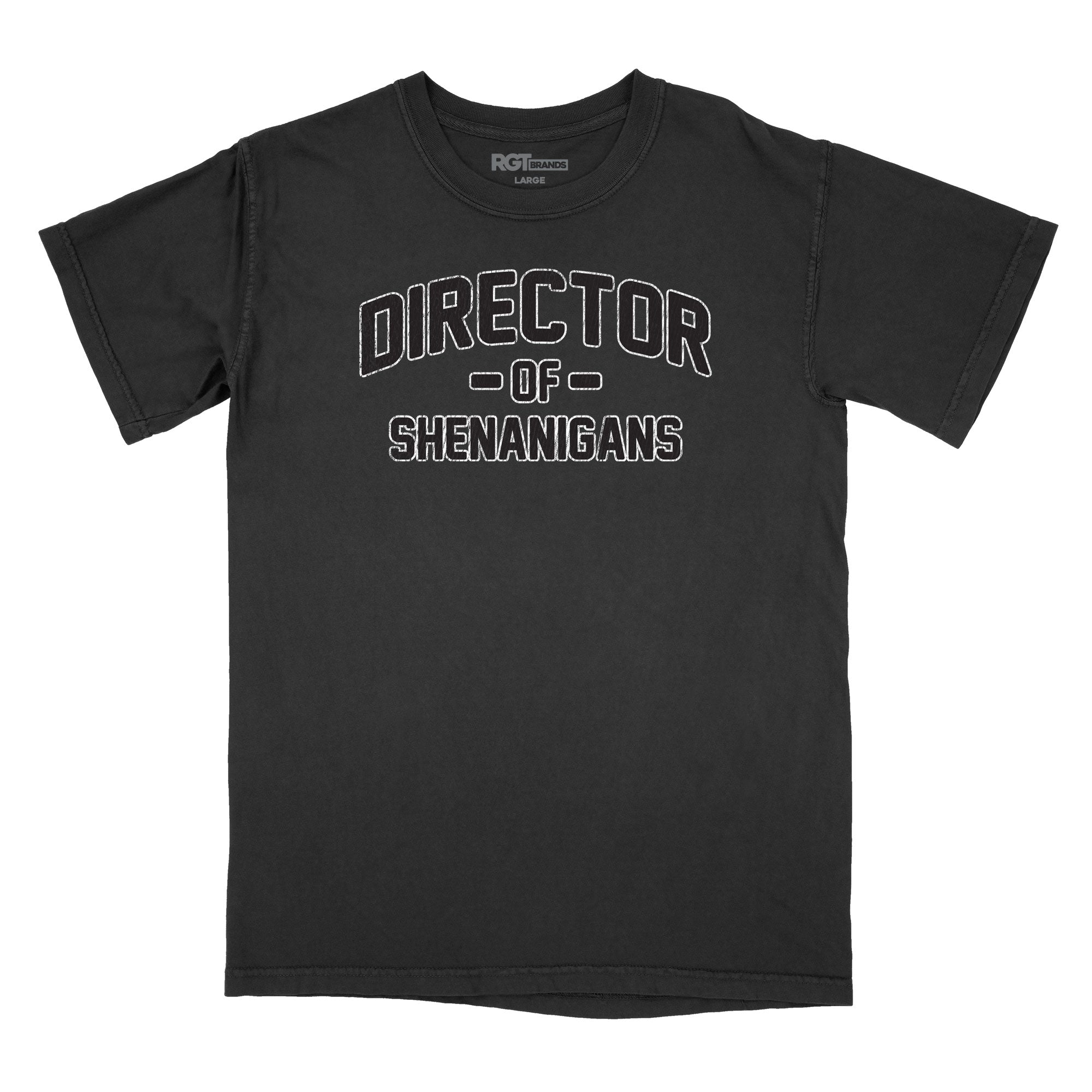 Director of Shenanigans Premium Relaxed T-Shirt