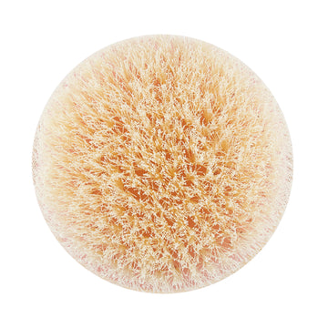 Deep Cleansing Facial Brush – EcoTools Beauty