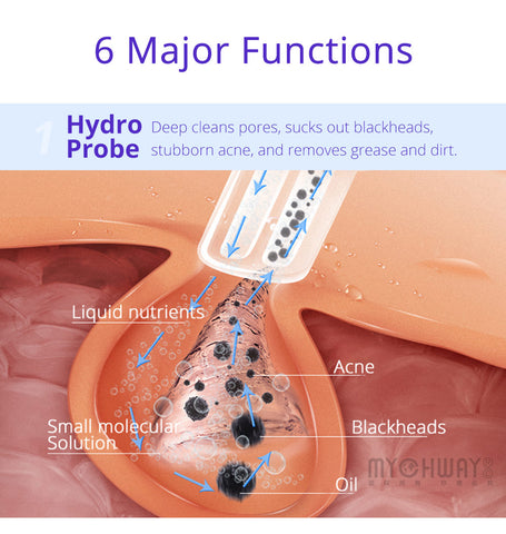 6 major functions