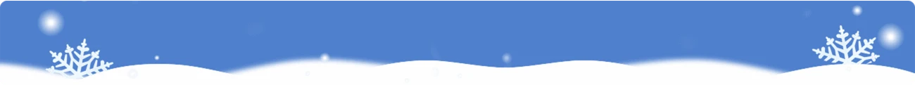 Winter Sale