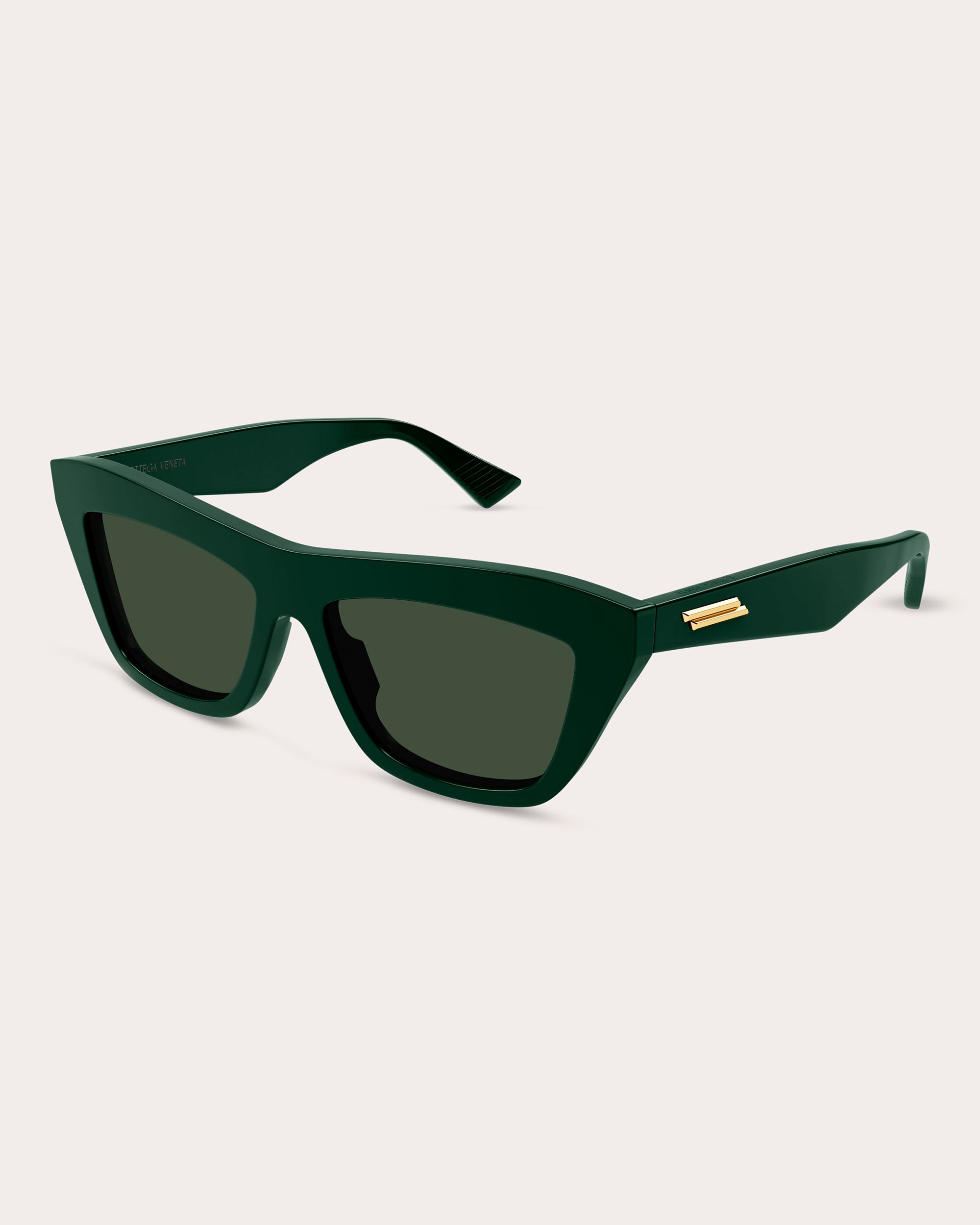 Shop Bottega Veneta Women's Classic Ribbon Cat-eye Sunglasses In Green