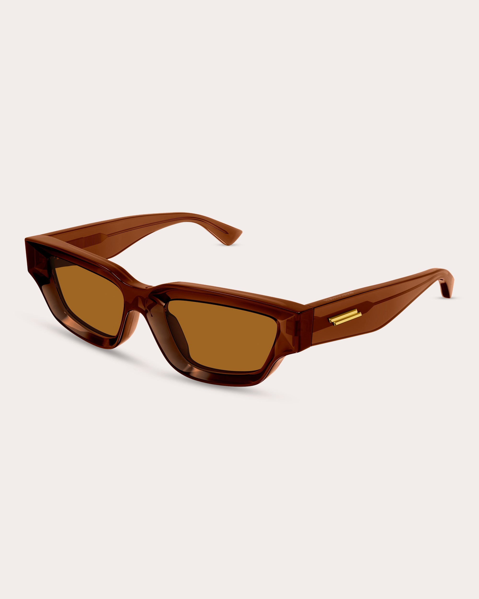 Shop Bottega Veneta Women's Edgy Transparent Cat-eye Sunglasses In Brown