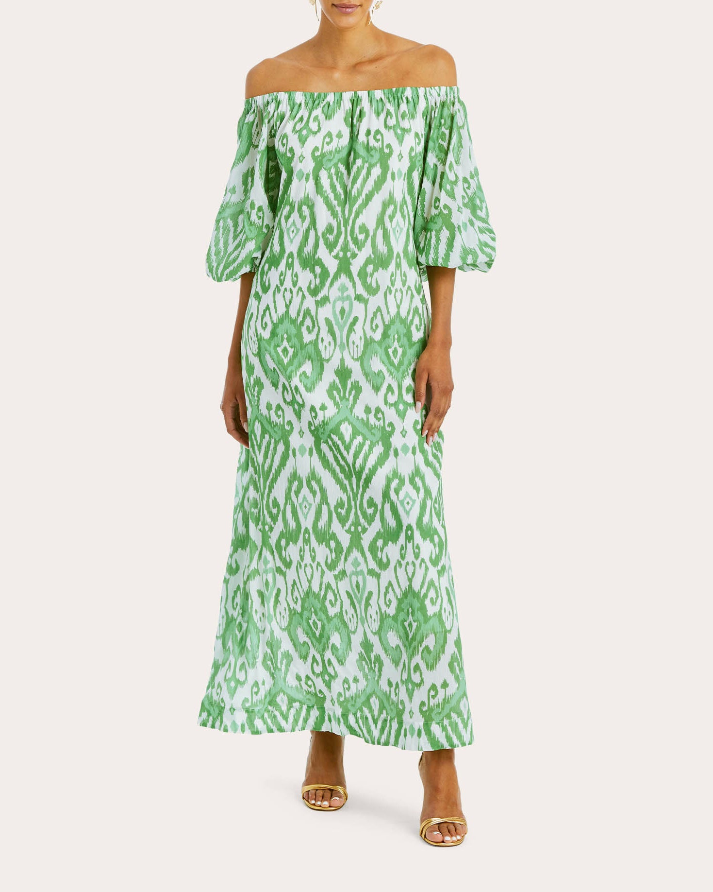 Shop Mestiza Women's Raffaella Maxi Dress In Green