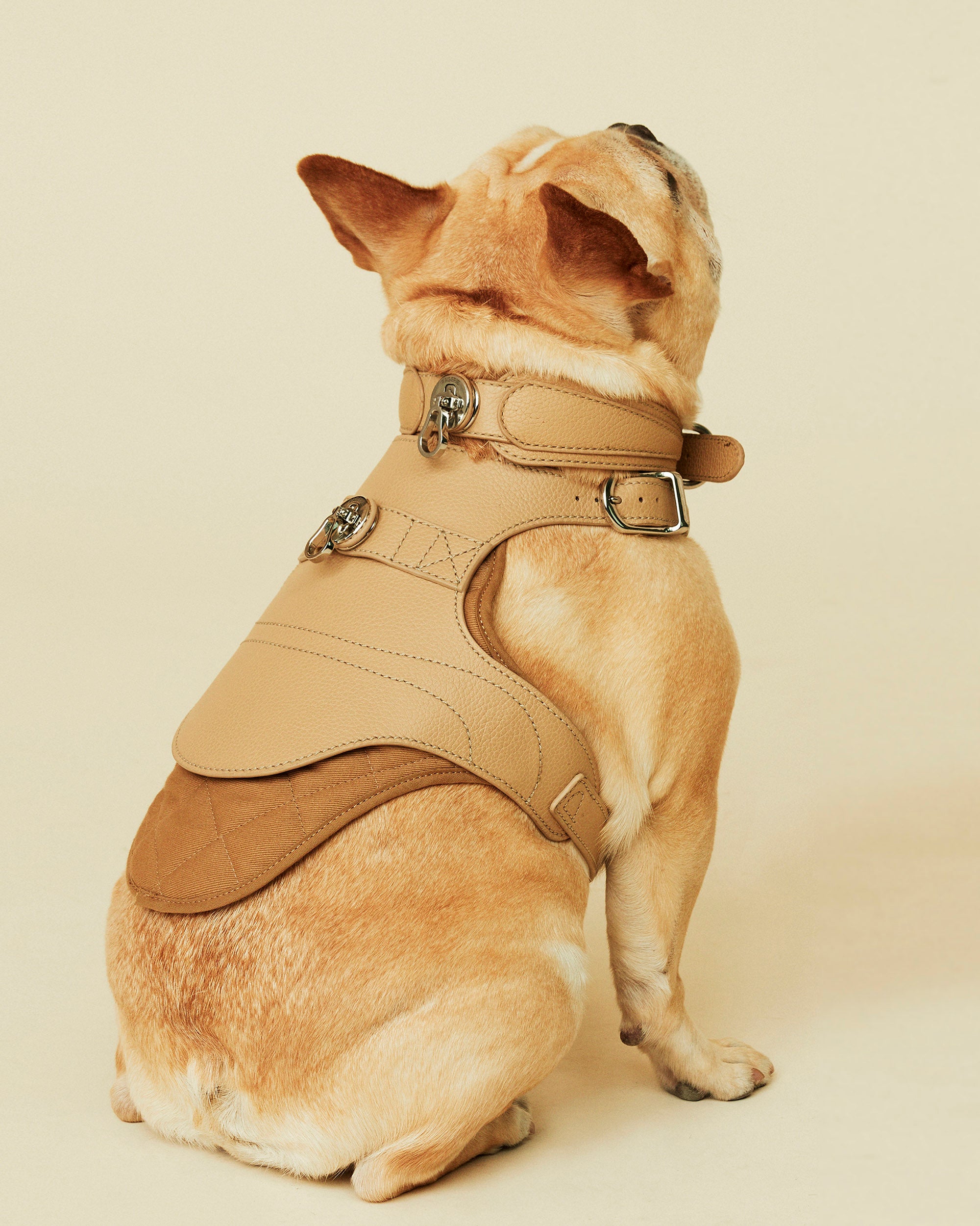 Pagerie The Babbi Leather Dog Harness - Sand - Size Medium