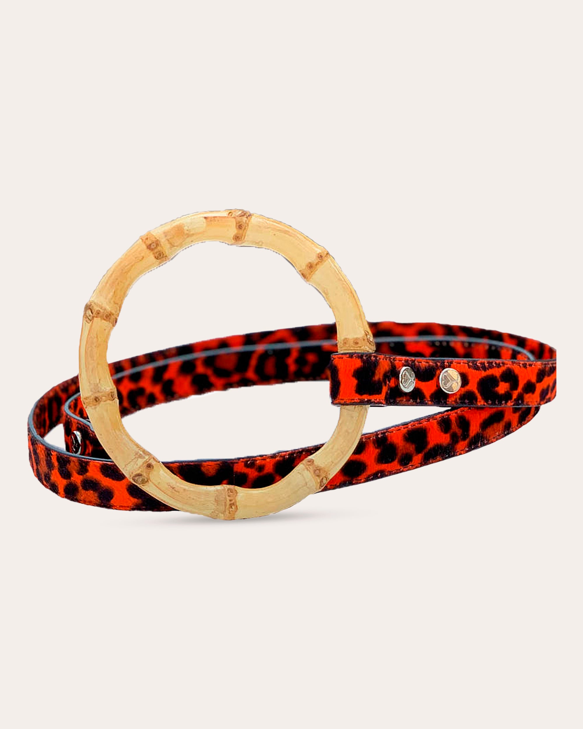 Shaya Pets Sasha Leopard Dog Leash In Red &amp; Black