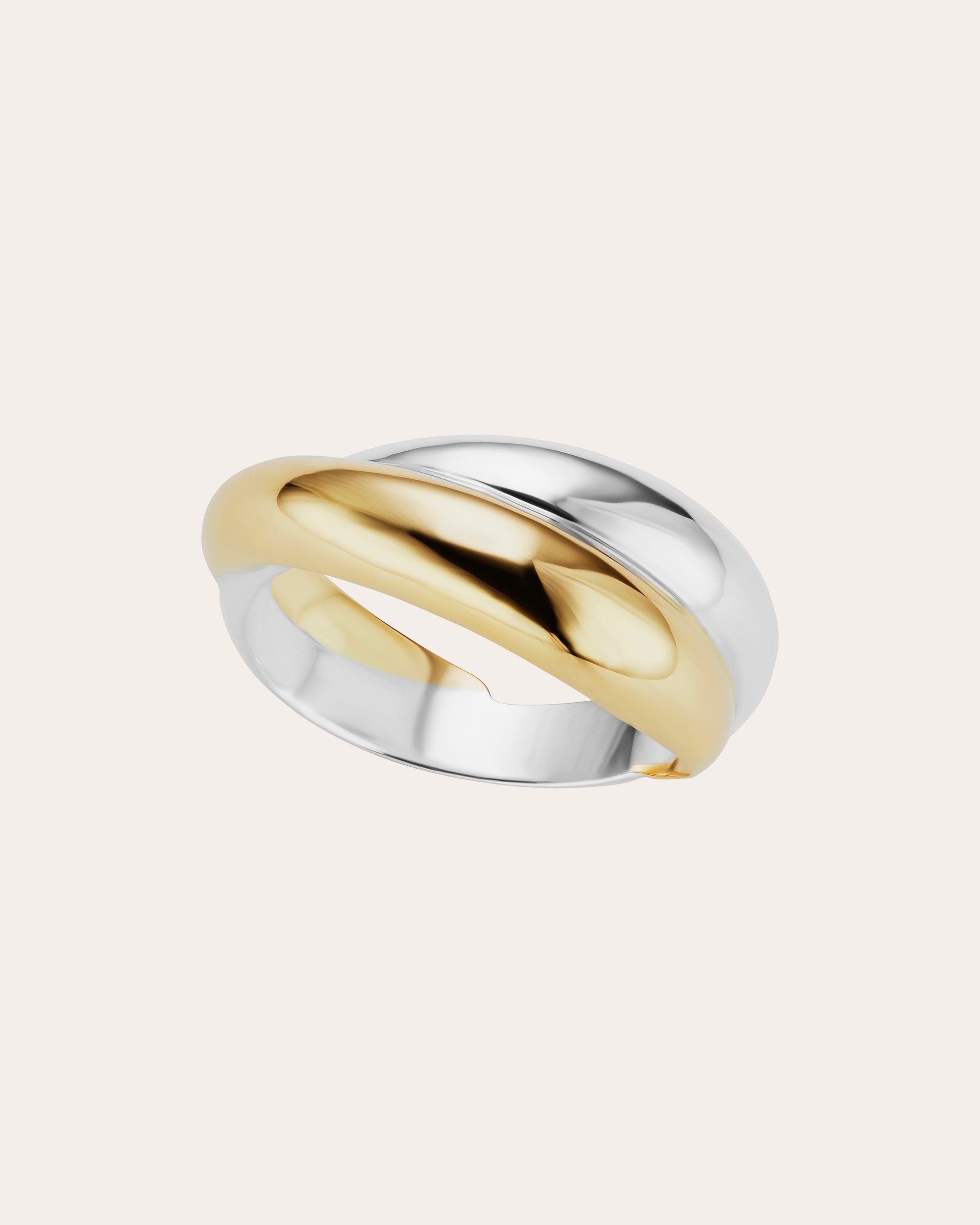 The Gild Women's Mixed Metal Icon Ring In Silver