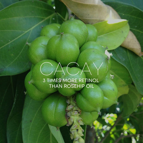 Cacay Oil has 3 times more plant-based retinol than Rosehip Oil