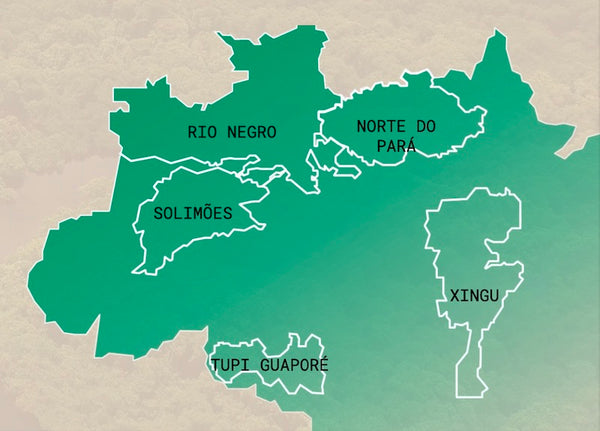 Areas in the Amazon Rainforest Origens Brazil network operates