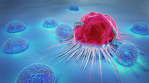 3d rendering of cancer cell and lymphosites
