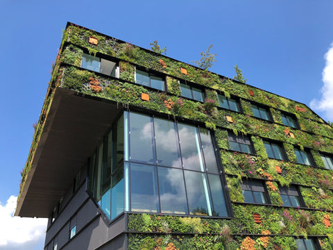 Bâtiments avec plantes vertes, bâtiment des murs verts