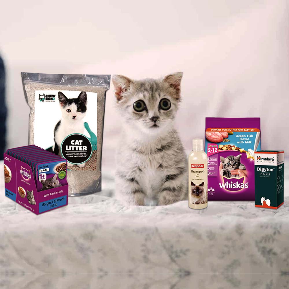 cat food subscription box