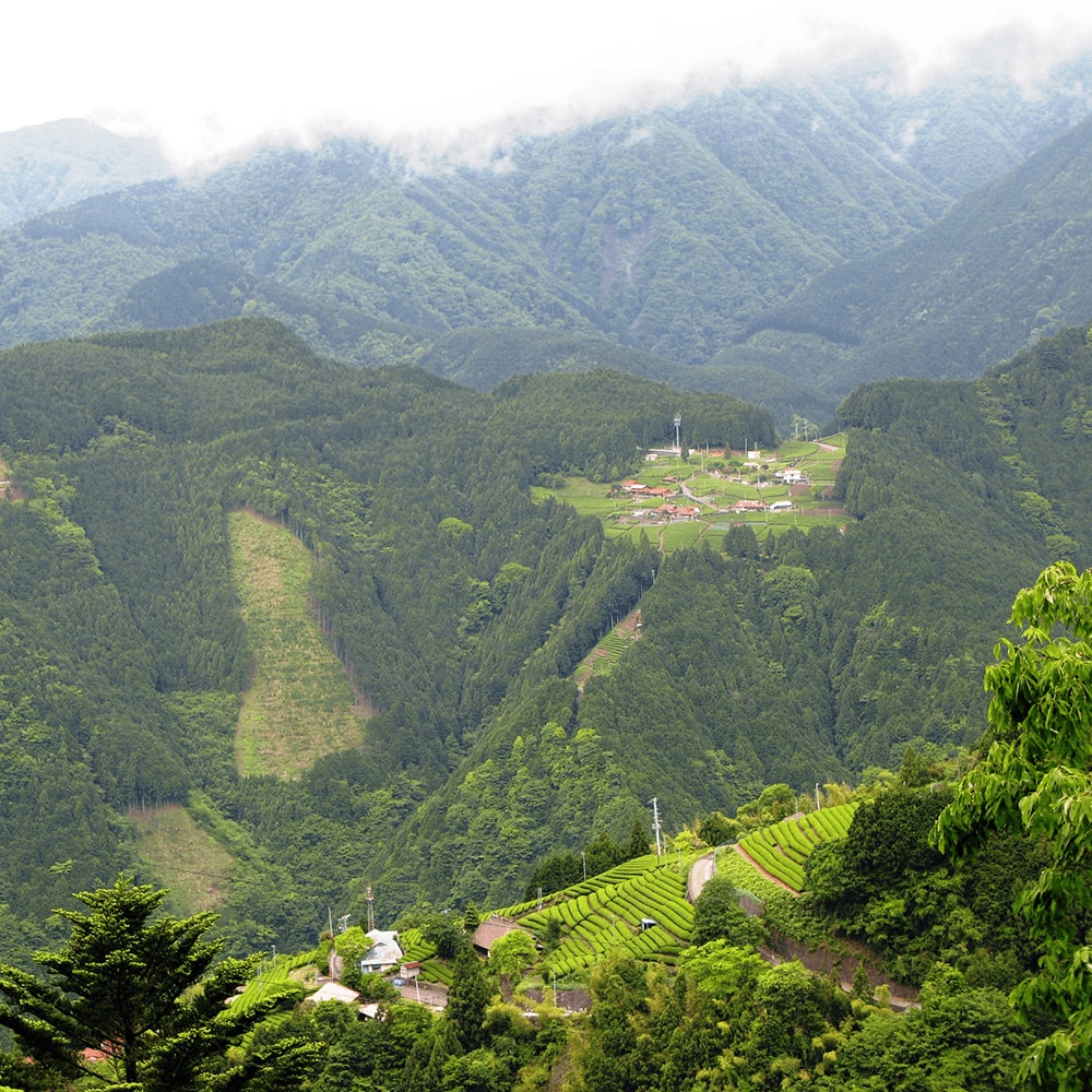 静岡県静岡市葵区梅ケ島