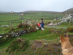 Dursey Island West Cork