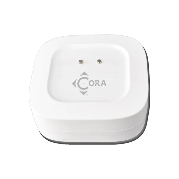 Codepoint CS1010- Water Leak Sensor Puck