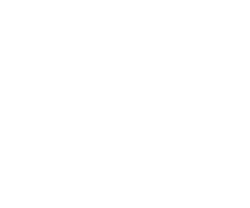 TheBoveCompany Logo