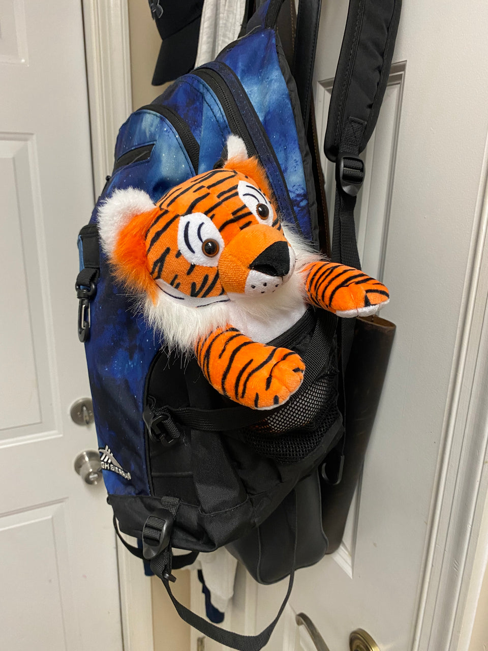 Tyler the Tiger Riderz Cupholder Companion 