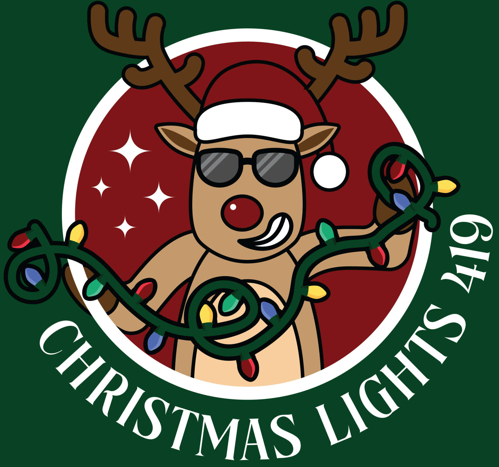 Christmas Lights 419