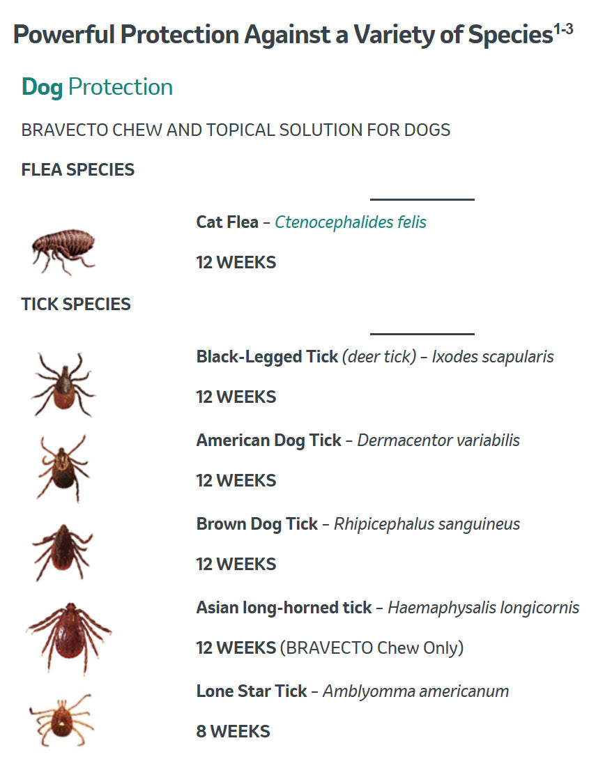 bravecto 1 month dog protection