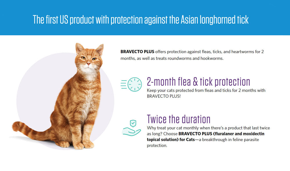 bravecto plus cat protection