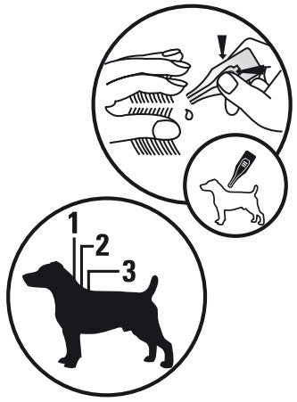 modamox dog application