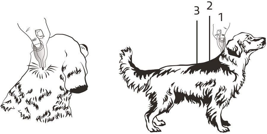 parasedge multi dog application1