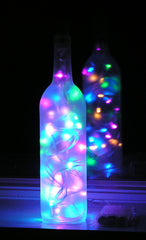 LED String Lights in a Bottle