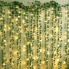 plants with lights