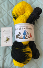 Load image into Gallery viewer, May - Bird of the Month Yarn Club
