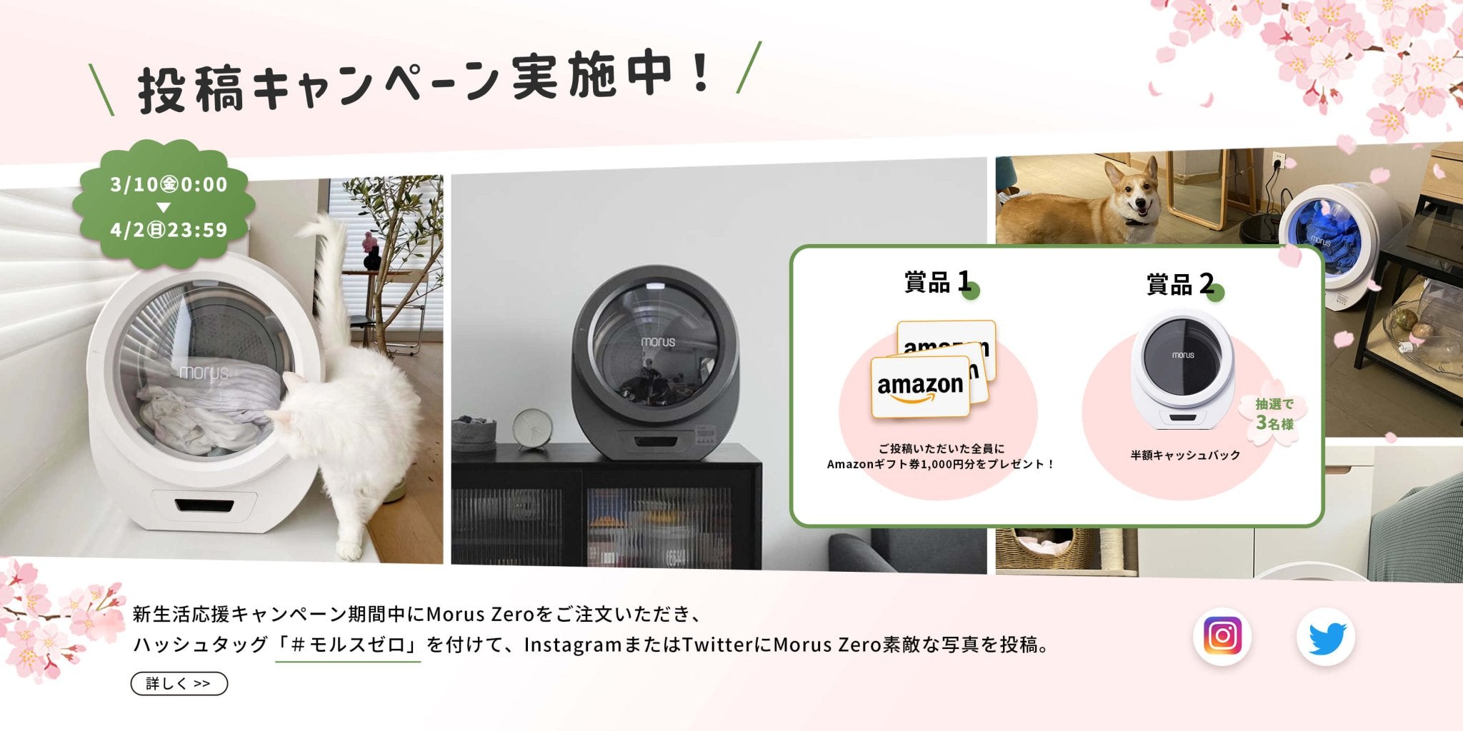 Morus Japan (モルス) | 次世代超小型衣類乾燥機 | 公式サイト – 株式