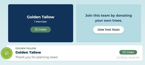 Join our team Golden Tallow on Team Trees