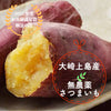 Picture of 【無農薬で安心食材】大崎上島産さつまいも　旬の味で家族団欒