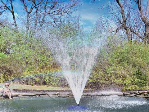 Pond Fountain Maintenance