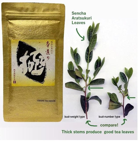 Complex Sencha Taste