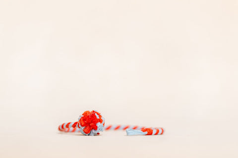 Cat Toy Playing Rope in Red and Blue