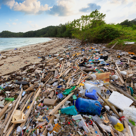 海岸に沢山の海洋ゴミが漂着している様子