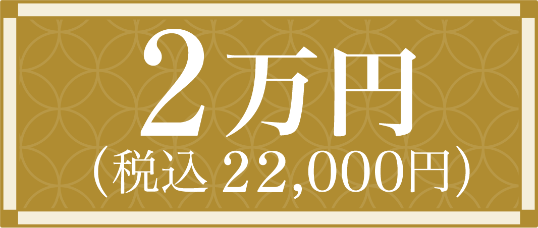 2万円（税込22,000円）