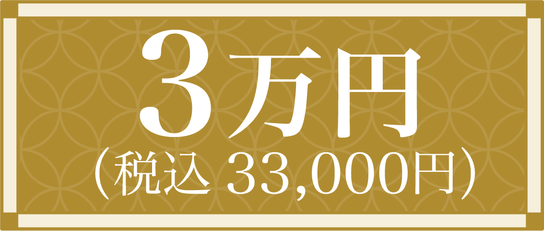 3万円（税込33,000円）